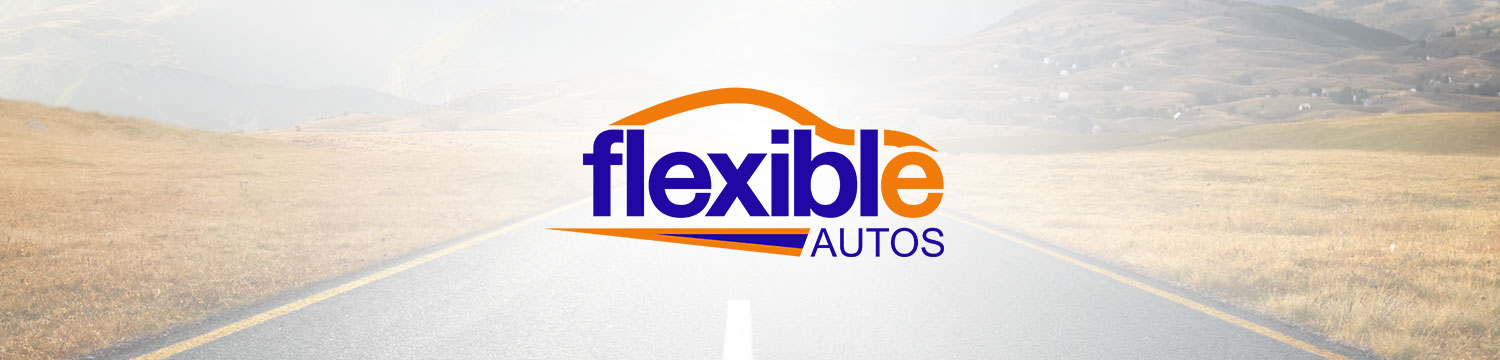 Asier Reguera web design - Flexible Autos